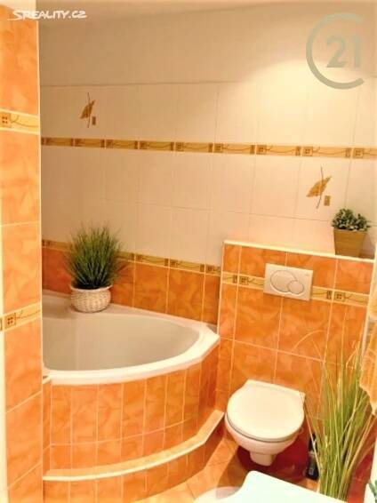 Pronájem bytu 2+1 56 m², Smetanova, Strážnice