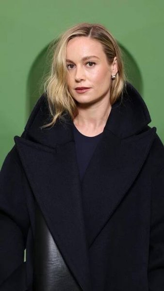 Brie Larson Bio 253