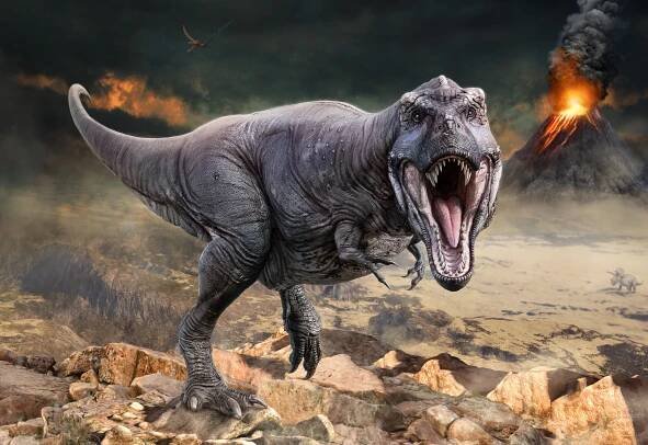 Tyrannosaurus rex mohol byť oveľa väčší, ako si vedci doteraz mysleli