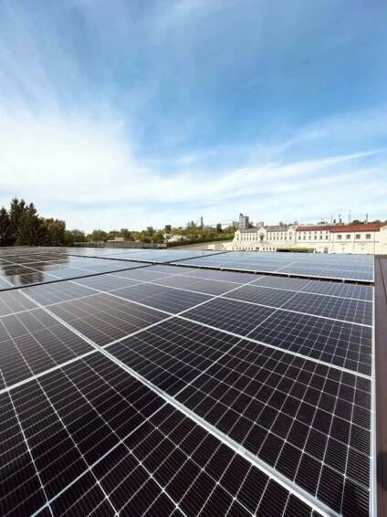 Castel Mimi: Example of a Sustainable Business