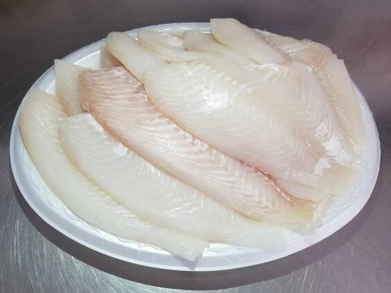Hogfish Fillets