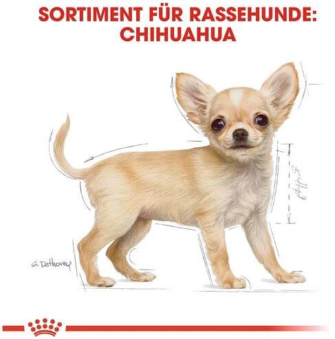 Royal Canin Granule pro psy Chihuahua Puppy 1,5 kg