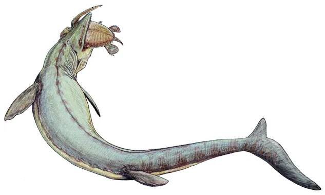 Soubor:Mosasaurus 21copy.jpg – Wikipedie