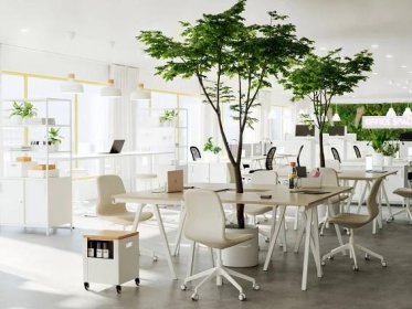 Lehký, prostorný interiér kanceláře se společnými pracovními prostory, které tvoří stoly TROTTEN umístěné kolem vysokých stromů v květináčích sahajících až ke stropu.