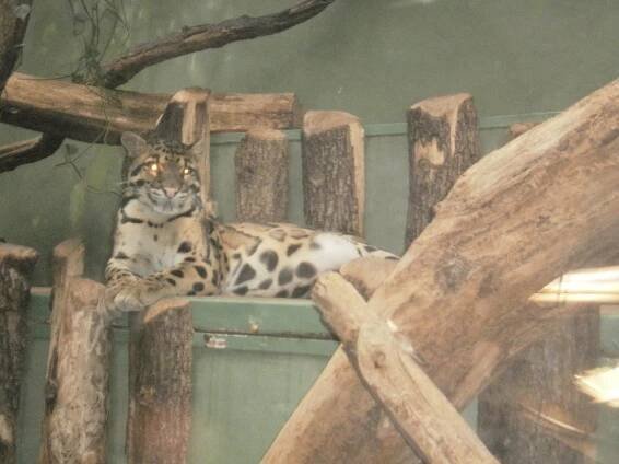 Zájezd ZOO Praha