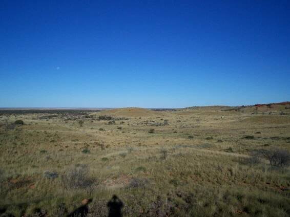 Gibson Desert