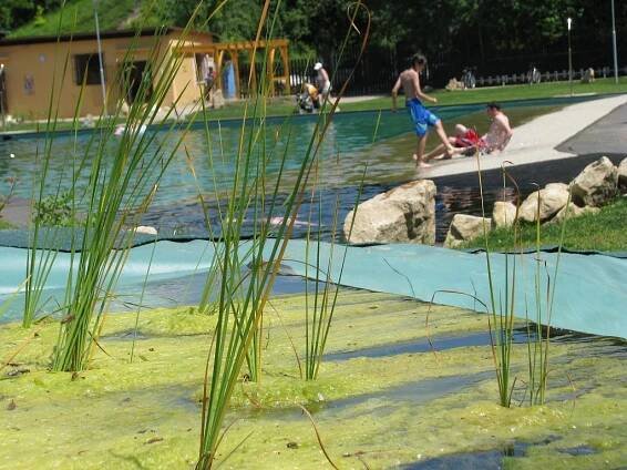Není to koupaliště ani rybník. Je to biotop