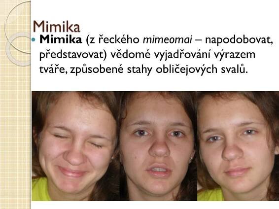 PPT - Neverbální komunikace PowerPoint Presentation, free download - ID:6512680