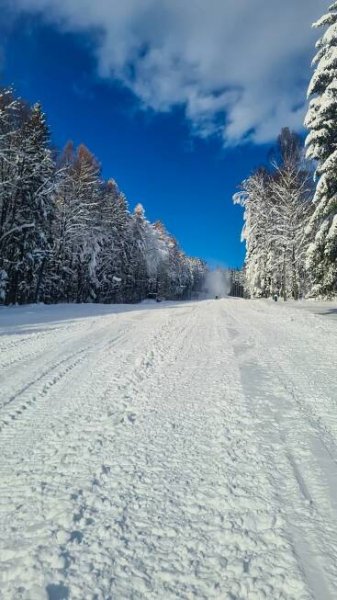 Karlova Studánka - Pradědova aréna - sjezdovky a sníh