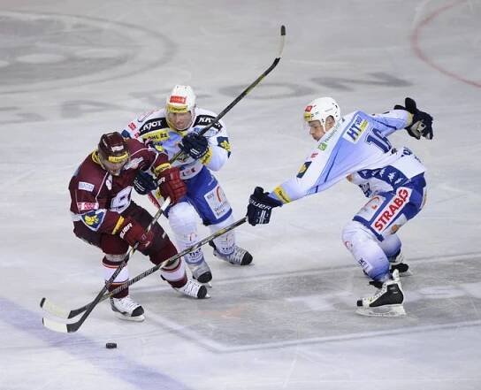 Brno se bálo odvolat kouče Veneru. Přišlo o play off a teď trpí