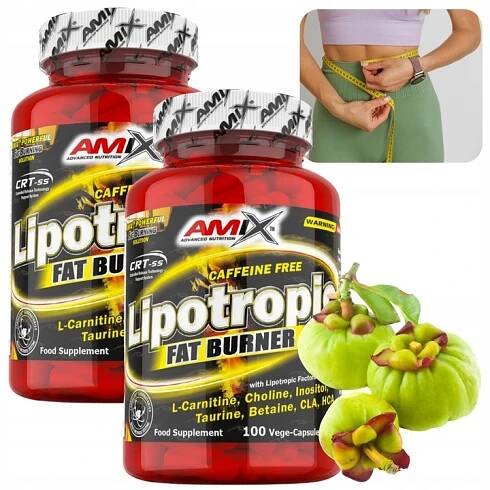 SPALOVAČ TUKŮ NA NOC Bez kofeinu Lipotropní HCA Garcinia Cambogia CLA