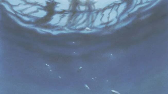 Book Review: ‘The Catch,’ by Yrsa Daley-Ward