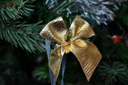 Bezplatný obrázek: vánoční strom, zlatá záře, pás karet, svítí, vánoční, dekorace, strom, design interiéru, oslava, předsazení