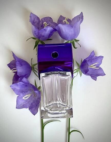 Pop Bluebell Stella McCartney pro ženy