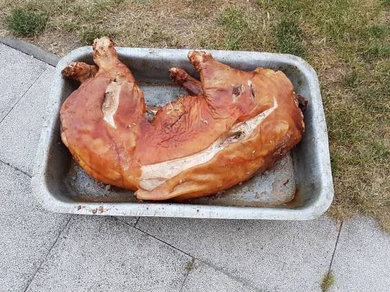 Selátko na grilu - Oficiální stránky Penzion U pohody