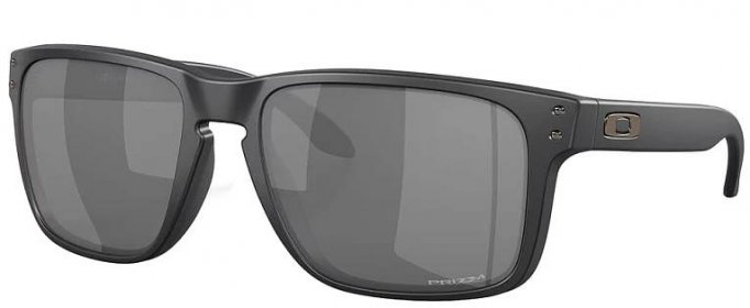 Oakley Holbrook XL 94173459 Woodgrain/Prizm Black Polarized XL Lifestyle brýle