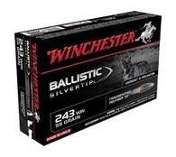winchester 243 win ballistic silvertip