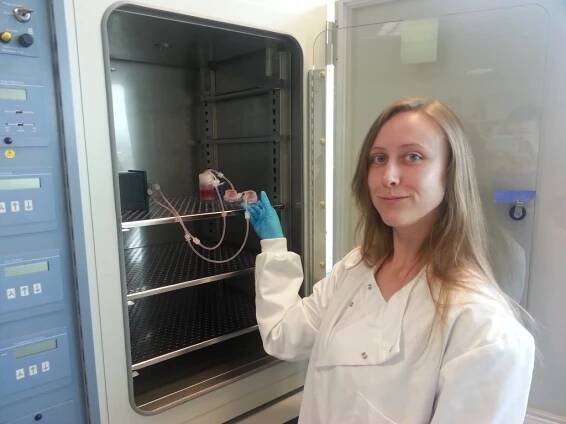 Interview with Dr Meg Lewis