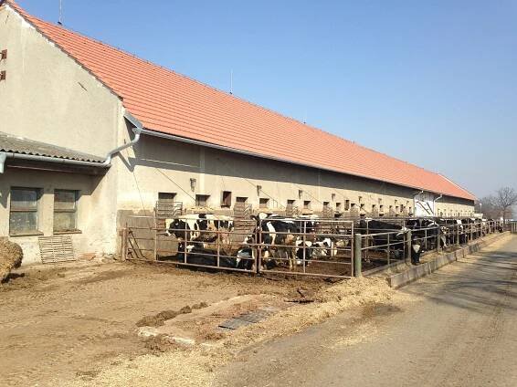 Galerie - ZD Klenovice na Hané, družstvo