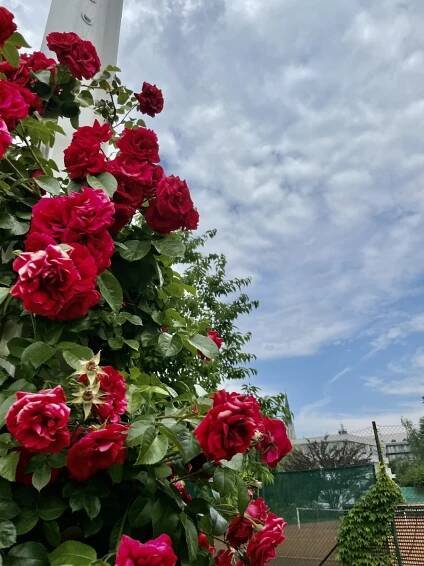 Botanická zahrada a Rozárium Olomouc - Dnes výletujeme