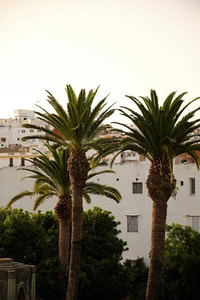 Out and About in Tangier - Villa Mabrouka
