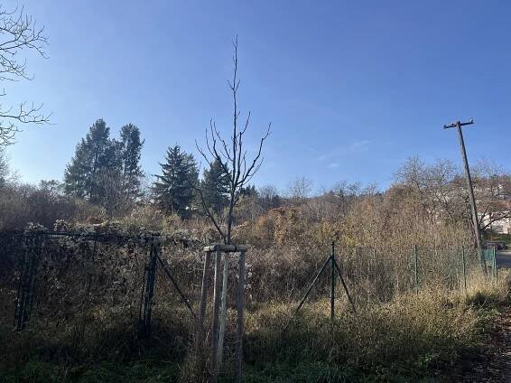 Místo pro setkávání i s jezírkem. Nový Lískovec plánuje nové společenské centrum