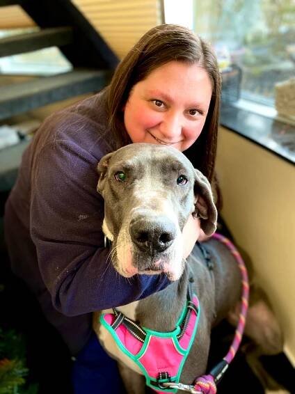 Companions Animal Hospital, Our Staff