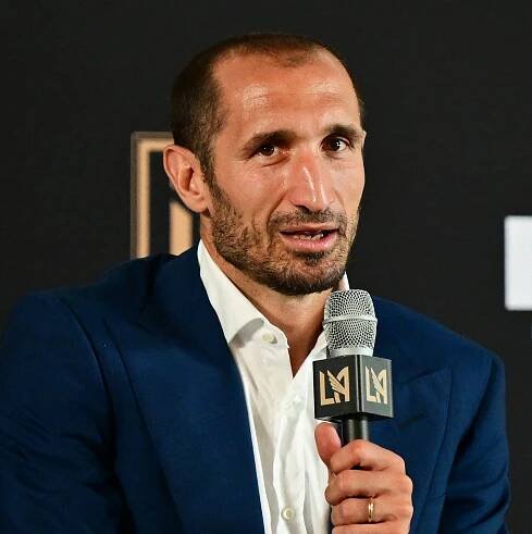 Giorgio Chiellini has been the biggest of bright spots on Fox’s Euro 2024 coverage