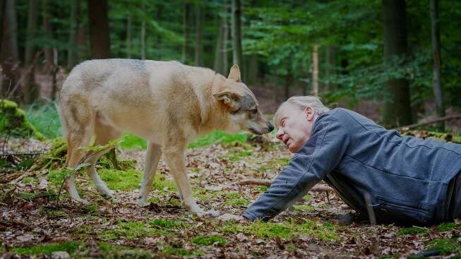 Policie Hamburk - Achtung, Wolf! - Z filmu - Hannes Hellmann