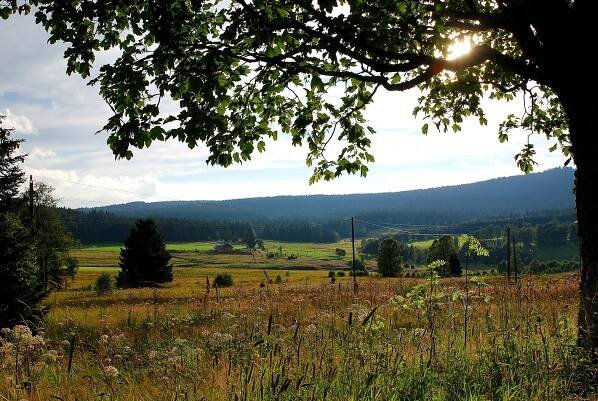 ŠUMAVA OBRAZEM: Za Kvildou, cestou z Bučiny / Foto: Karolína ENDRŠTOVÁZa krásnější Vimperk