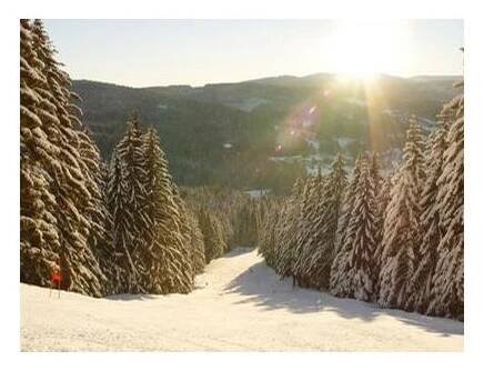 Ski areál Špičák foto 4