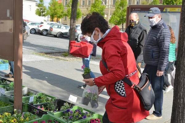 OBRAZEM: Tradiční lounské farmářské trhy proběhly letos poprvé