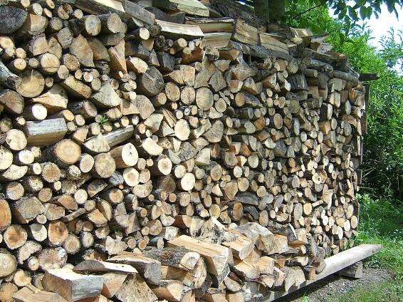 Hout
