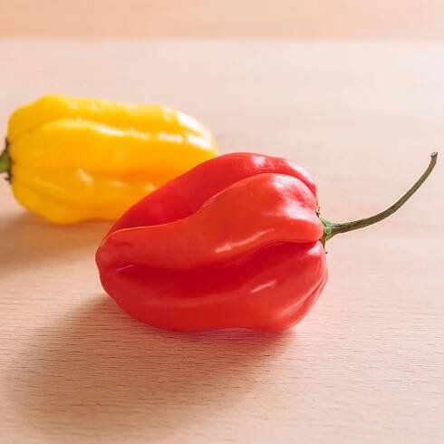 Scotch Bonnet Pepper Seeds