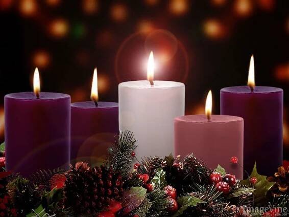 advent candles pink