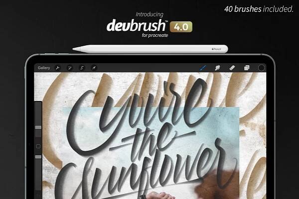 DevBrushTM 4.0 for Procreate