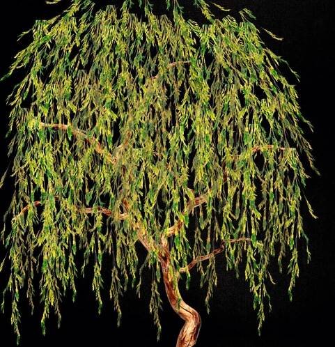 Willow Tree Digital Art