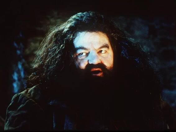 Robbie Coltrane says 'I'll not be here, but Hagrid will' in moving interview before death