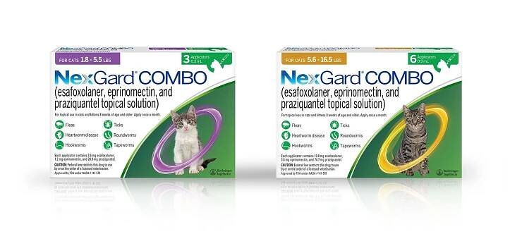 NEXGARD COMBO Topical for Cats, 1.8-5.5lbs (Purple Box) - Easy Refills | Chewy Rx