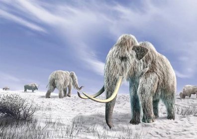 Opravdu žili mamuti v suchých a chladných stepích? Odhalení poslední večeře může vyřešit případ starý 12 000 let