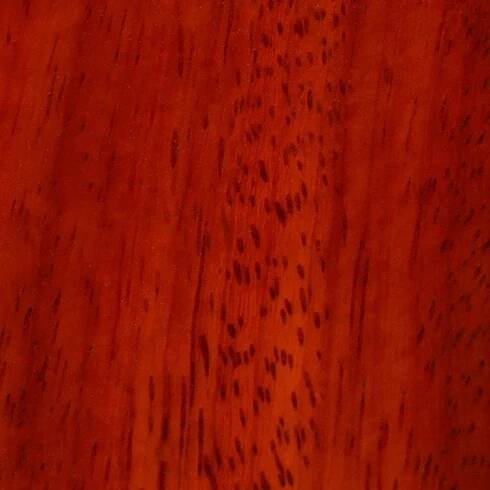 Padouk - Dřeva - Furch Guitars