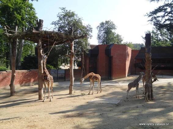 ZOO Liberec | Farmy, ZOO, jízdy na koních