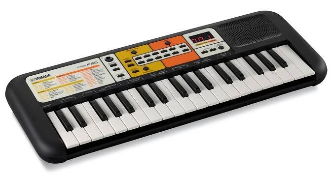 pss-f30-01-basic