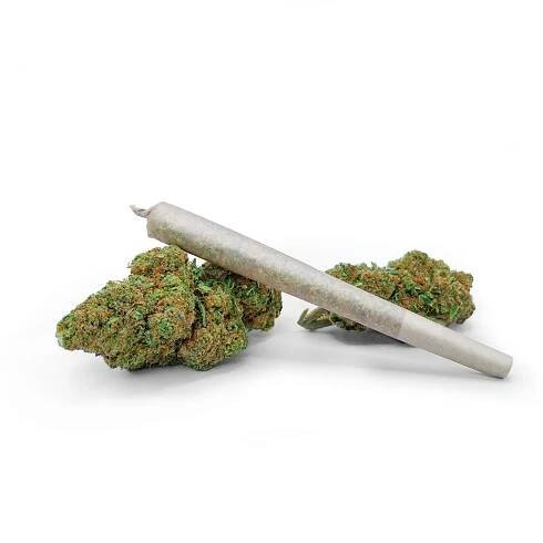 joint