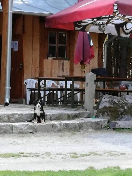 Fotogalerie | Chaty osika