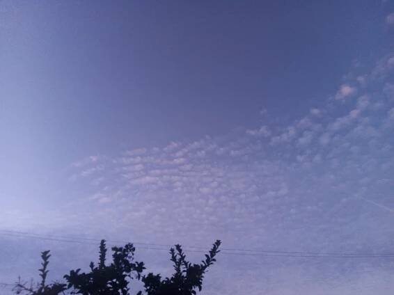 Cirrocumulus floccus