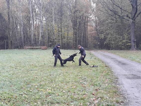 Víkendový LAPAČ – Sportovní klub policie Nový Jičín, z.s.