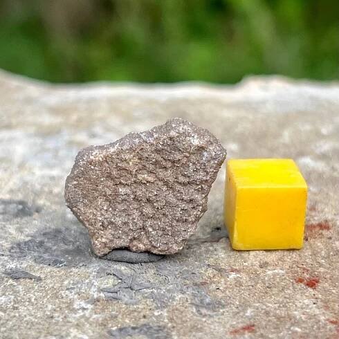 Titanosaur dinosaur eggshell fossil