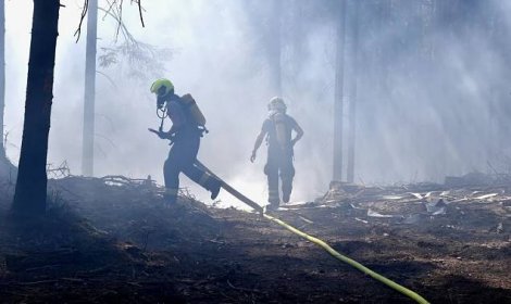 Hasiči zasahovali u požáru lesa, povolat museli vrtulník