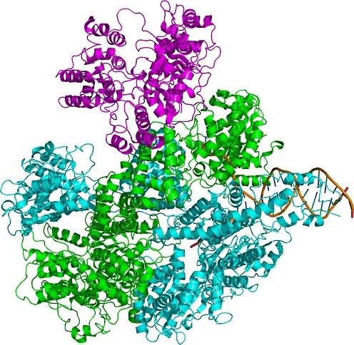 Soubor:RecBCD 1W36.png – Wikipedie